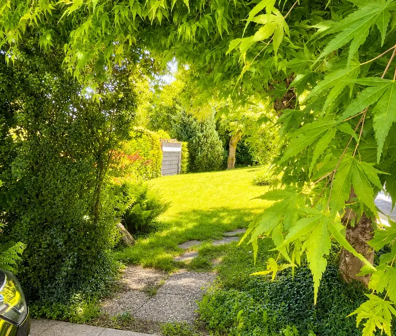 Gartenweg am Haus am See Gruener Gartenweg am Haus am See mit dichter Bepflanzung.